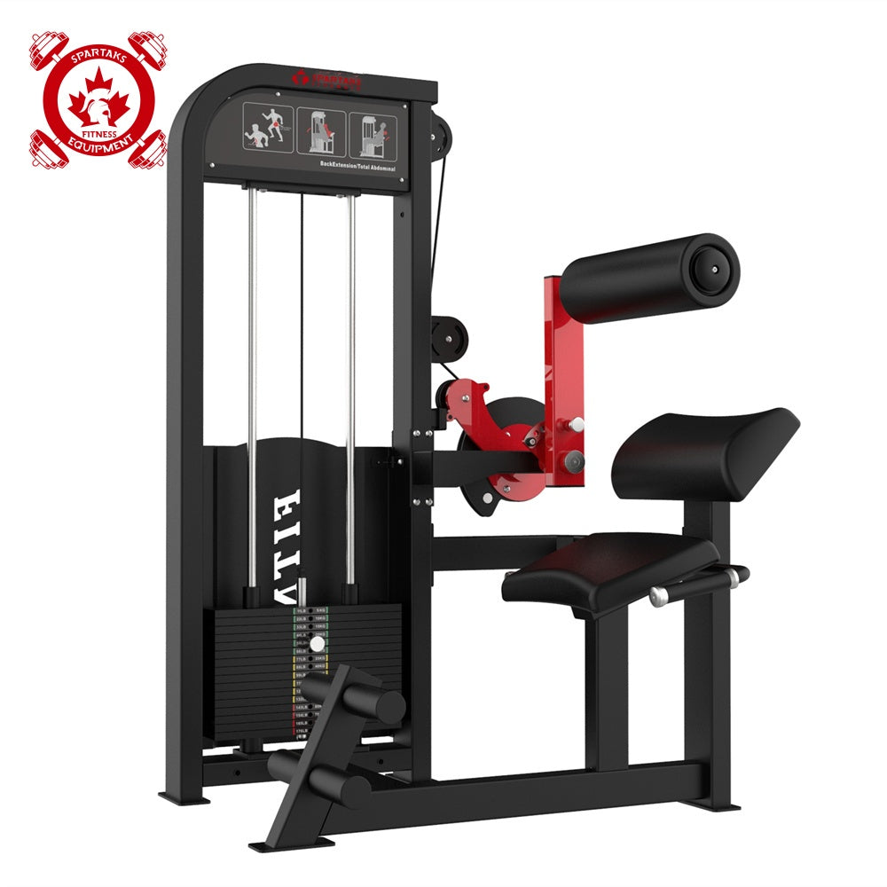 Spartaks Back & Abdominal Combo image 0