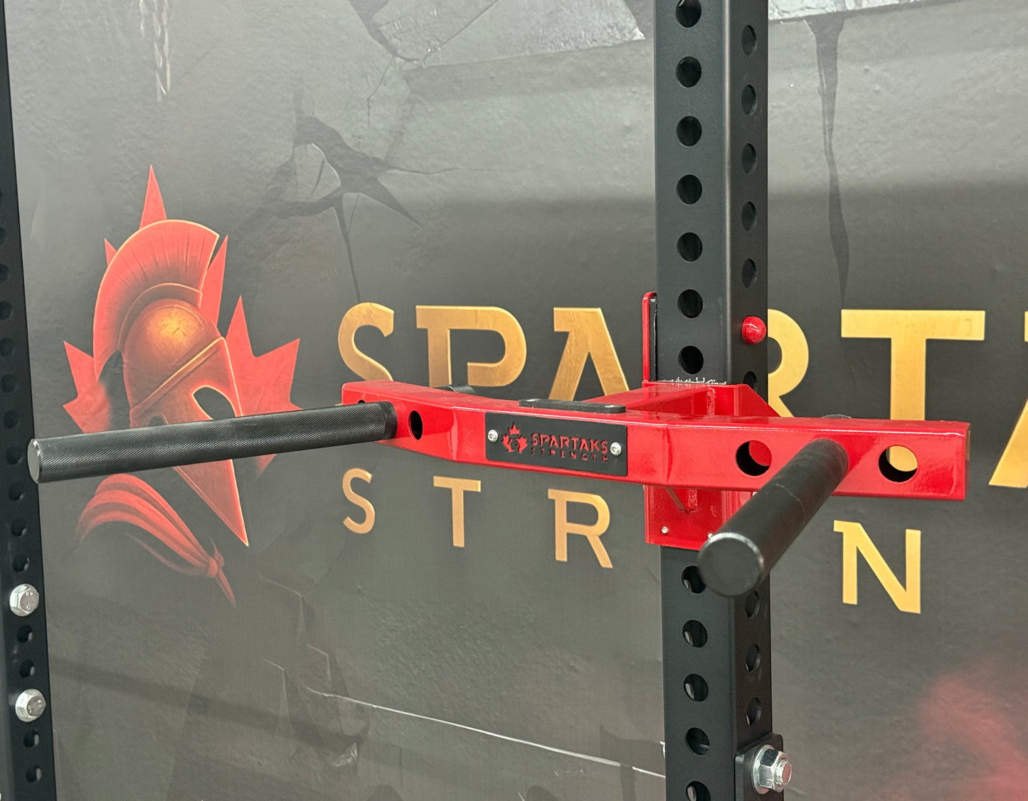 Spartaks Strength Y-Shape One Piece Dip Station