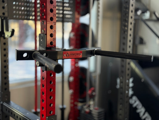 Spartaks Strength Y-Shape One Piece Dip Station