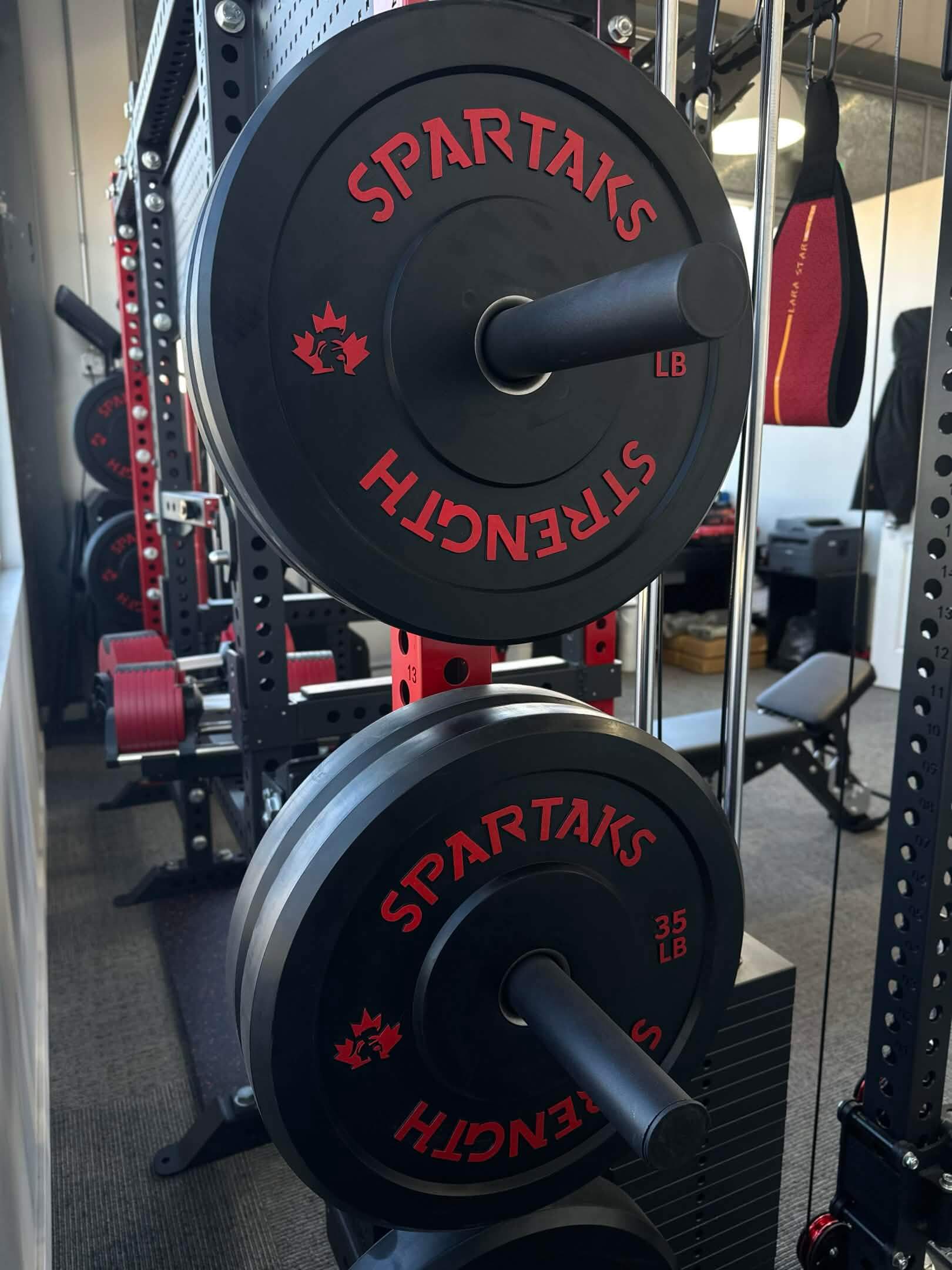 Spartaks Strength Weight Plate Holders (3"x3", 1" Hole) – Pair with Bolts (Set of 2) with weight plates.